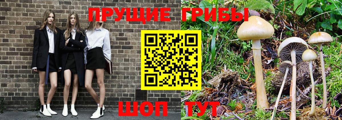 Оренбург  Галлюциногенные грибы Magic Shrooms  Вход с VPN  Псилоцибиновые грибы мухоморы 