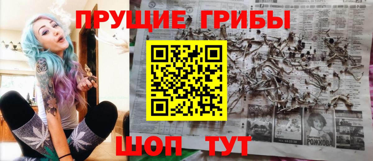 Псилоцибиновые грибы мухоморы Оренбург